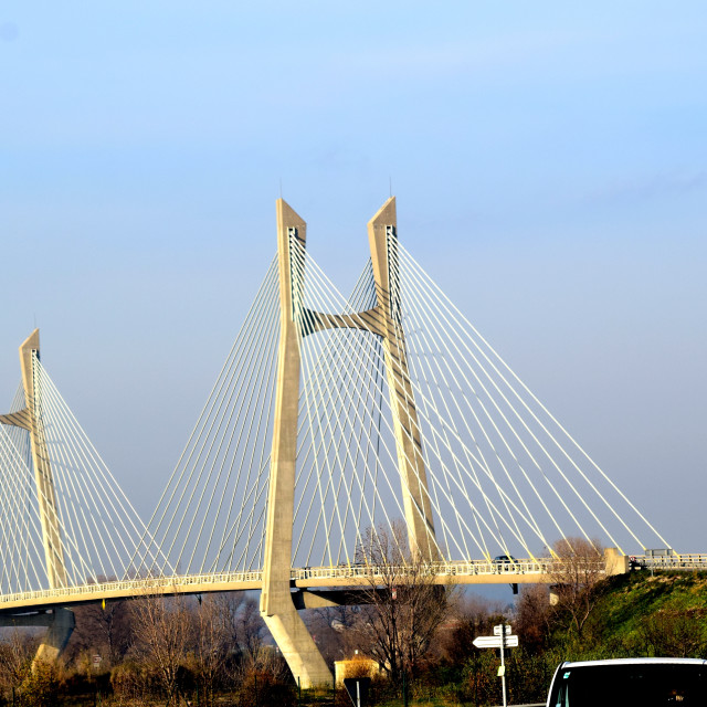 "A bridge in the Camargue" stock image