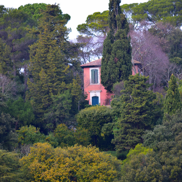 "Nimes, the botanical garden" stock image