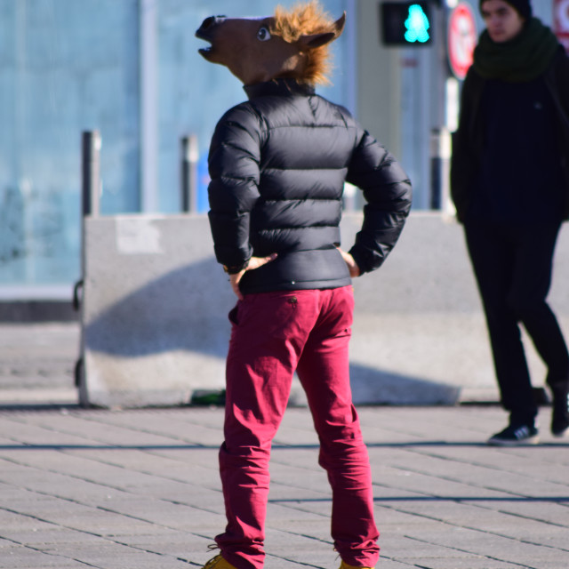 "A donkey in the streets" stock image