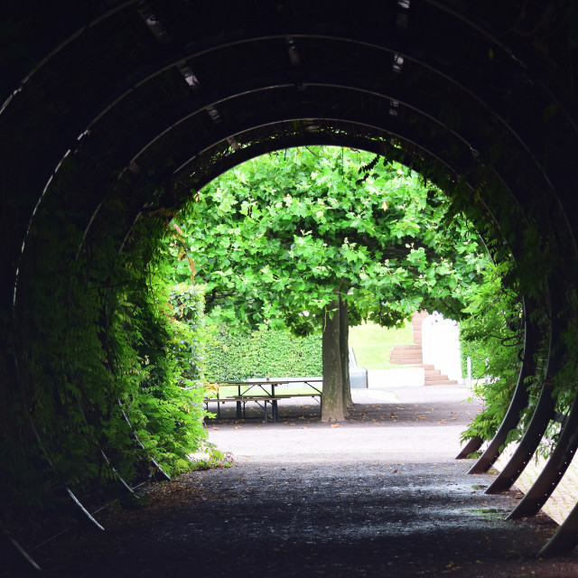 "A passage with a tree" stock image