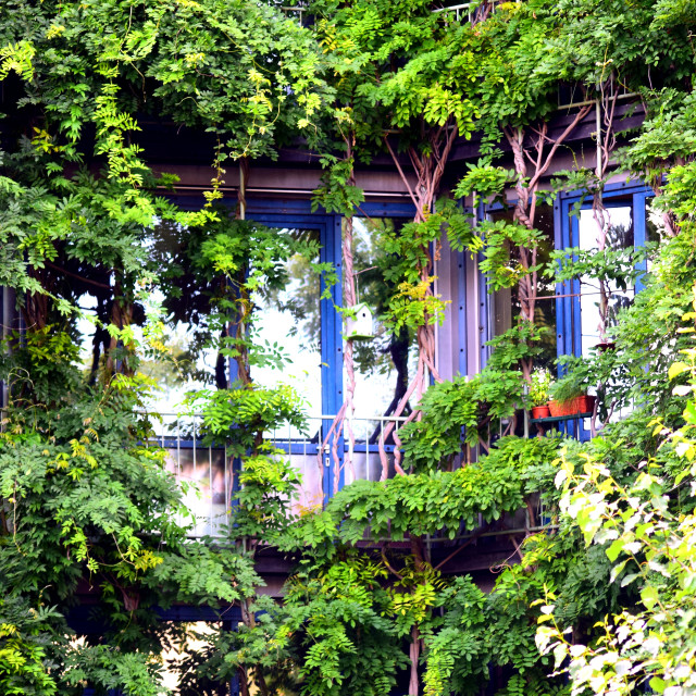 "Between the green" by Amit Mendelsohn - £50.00 "Between the green" stock image