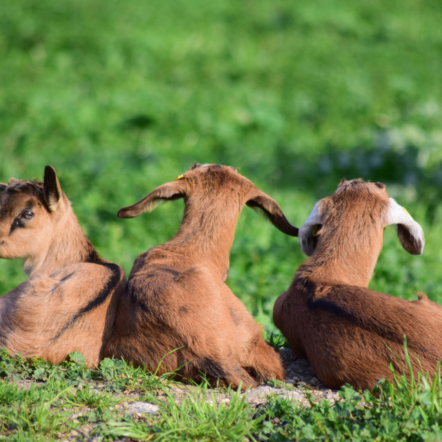 "The next generation" stock image