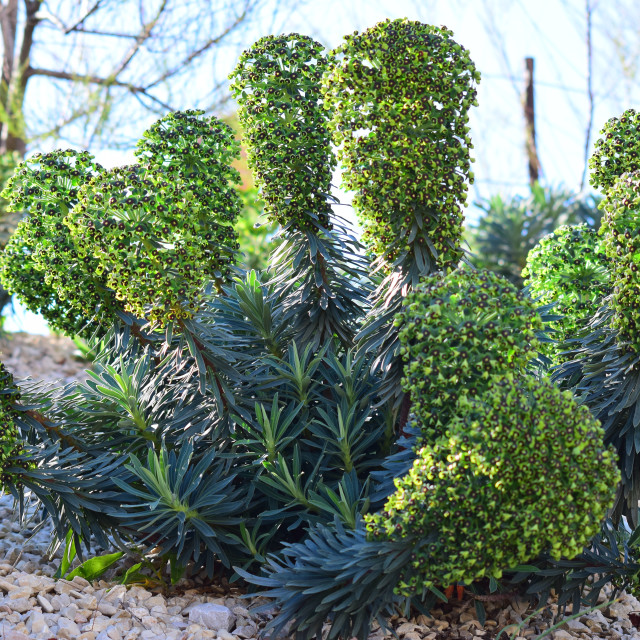 "An organized plant" stock image