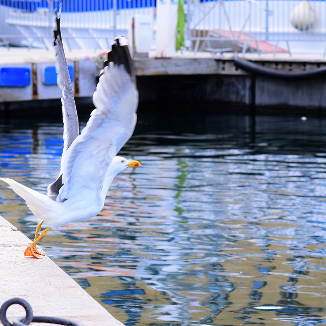 "Taking off" stock image