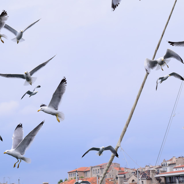 "Air port" by Amit Mendelsohn - £50.00 "Air port" stock image