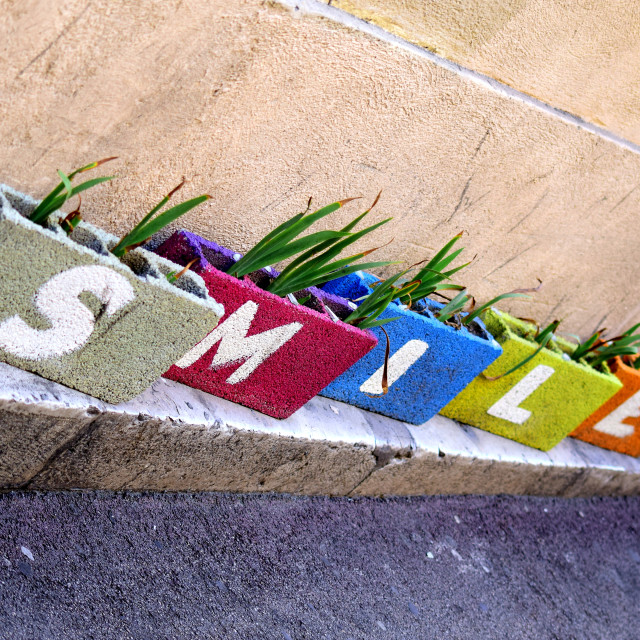 "Smile" by Amit Mendelsohn - £50.00 "Smile" stock image