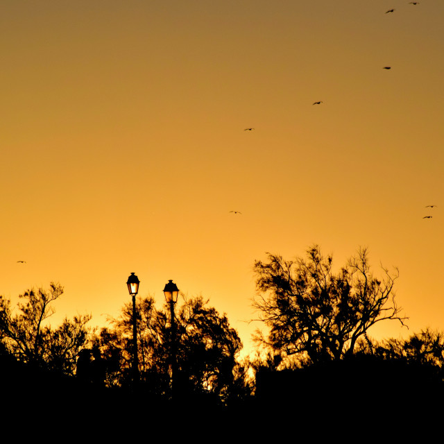 "Sunset over the park" stock image