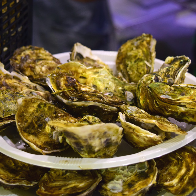 "Oysters" stock image