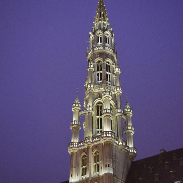 "Brussels city hall tower at night" stock image