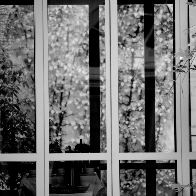 "A window to a restaurant" by Amit Mendelsohn - £50.00 "A window to a restaurant" stock image