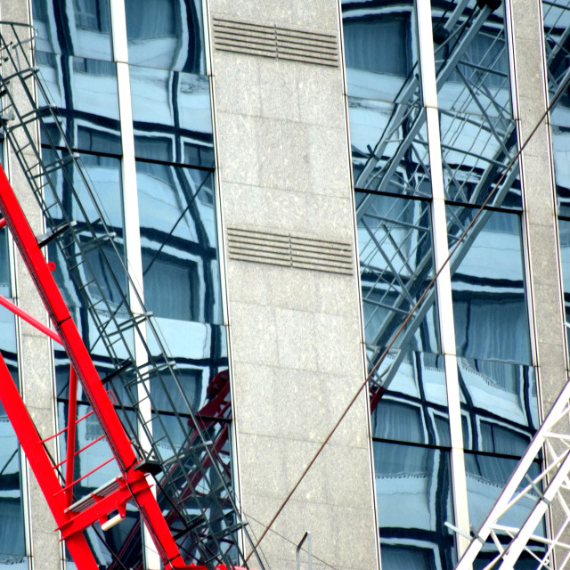 "Cranes and reflection" stock image