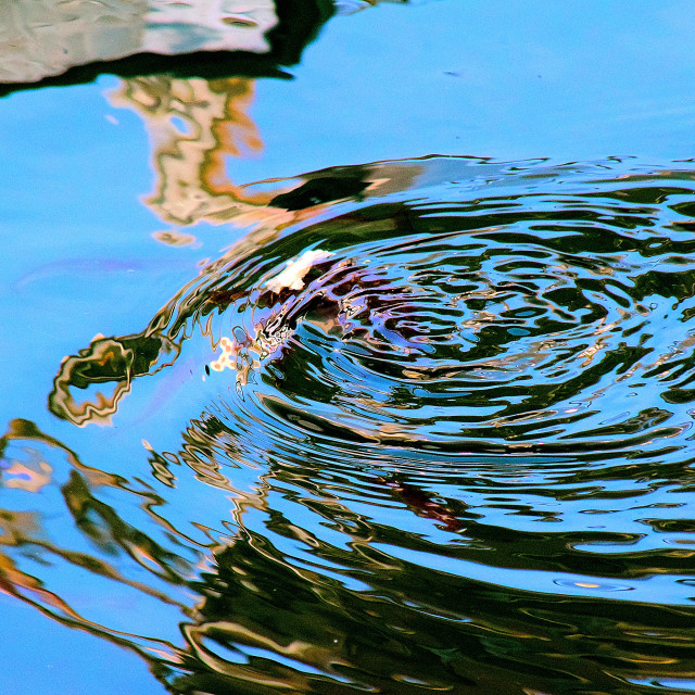 "A little fish storm" stock image