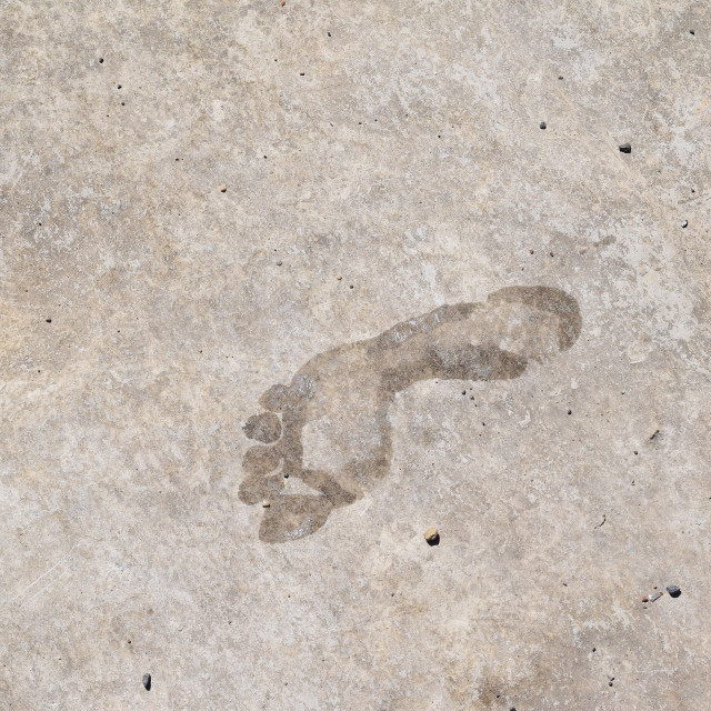 "Footstep" by Amit Mendelsohn - £50.00 "Footstep" stock image