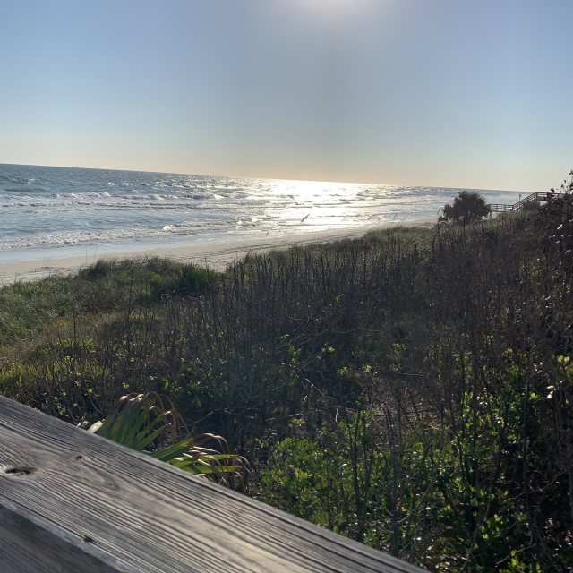 "Beach" by Melissa Minnella - £15.00 "Beach" stock image