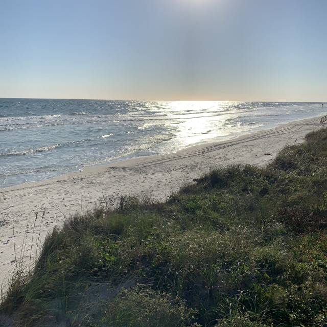 "Florida Beach" by Melissa Minnella - £15.00 "Florida Beach" stock image