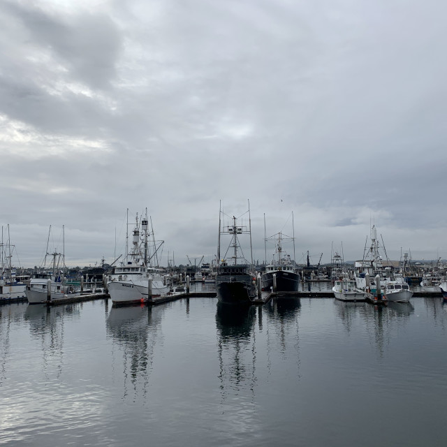 "Cloudy Day at the Marina" by Melissa Minnella - £15.00 "Cloudy Day at the Marina" stock image