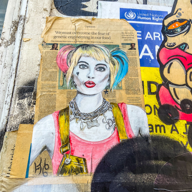 "Harley Quinn" by Tim Constable - £10.00 "Harley Quinn" stock image