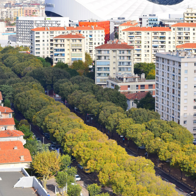 "A view of the avenue" by Amit Mendelsohn - £50.00 "A view of the avenue" stock image