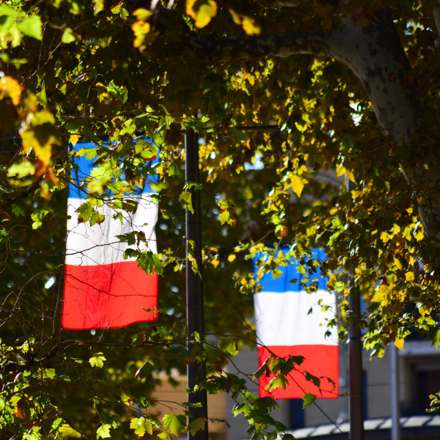 "French flags" by Amit Mendelsohn - £50.00 "French flags" stock image