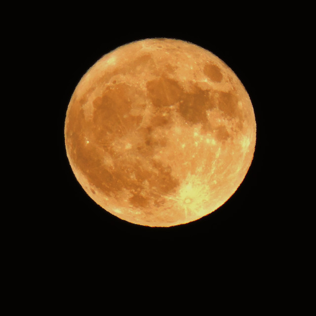 "The full moon" by Amit Mendelsohn - £50.00 "The full moon" stock image