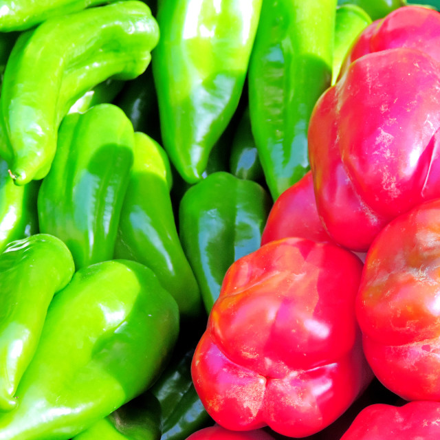 "Peppers" by Amit Mendelsohn - £50.00 "Peppers" stock image