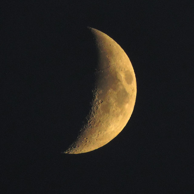 "A crescent" by Amit Mendelsohn - £50.00 "A crescent" stock image