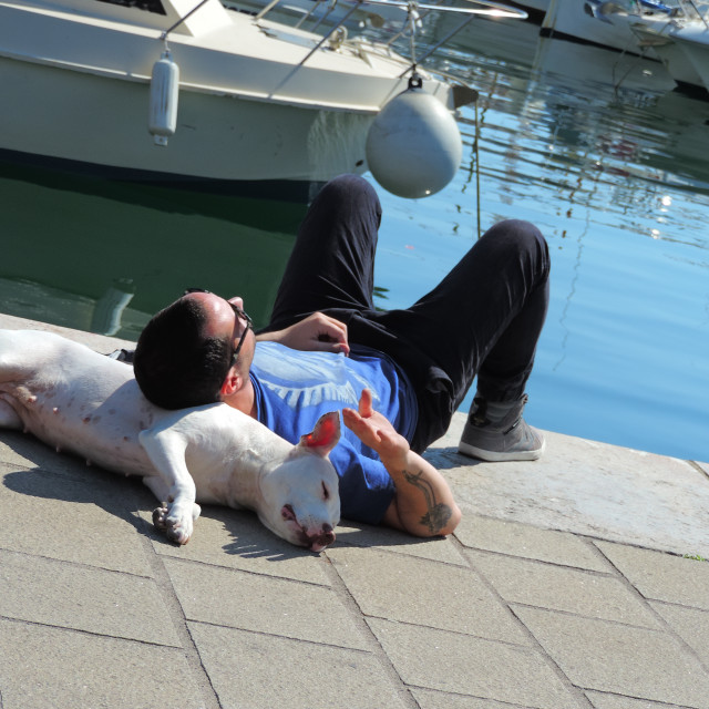 "Mutuality" by Amit Mendelsohn - £50.00 "Mutuality" stock image