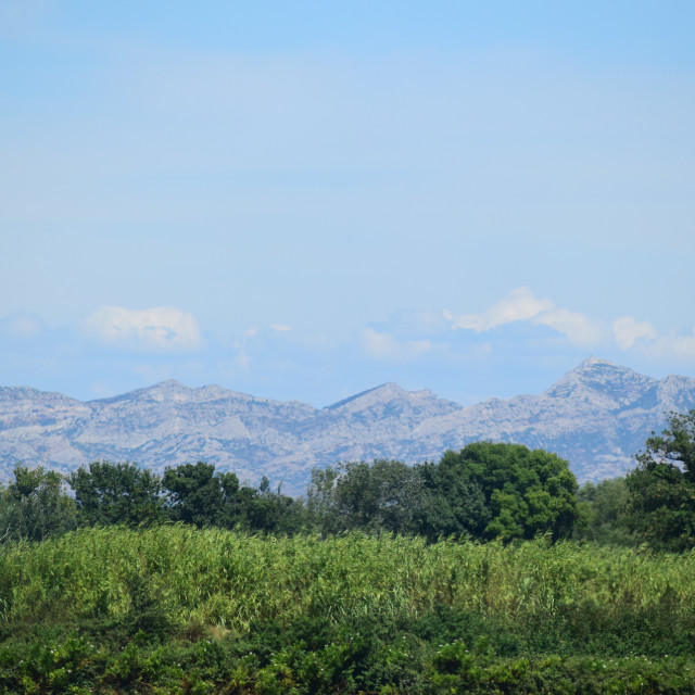 "A view" by Amit Mendelsohn - £50.00 "A view" stock image