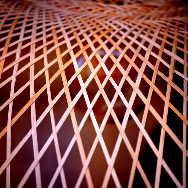"A close up" by Amit Mendelsohn - £50.00 "A close up" stock image