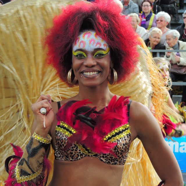 "The Carnival of Nice 14" by Amit Mendelsohn - £50.00 "The Carnival of Nice 14" stock image
