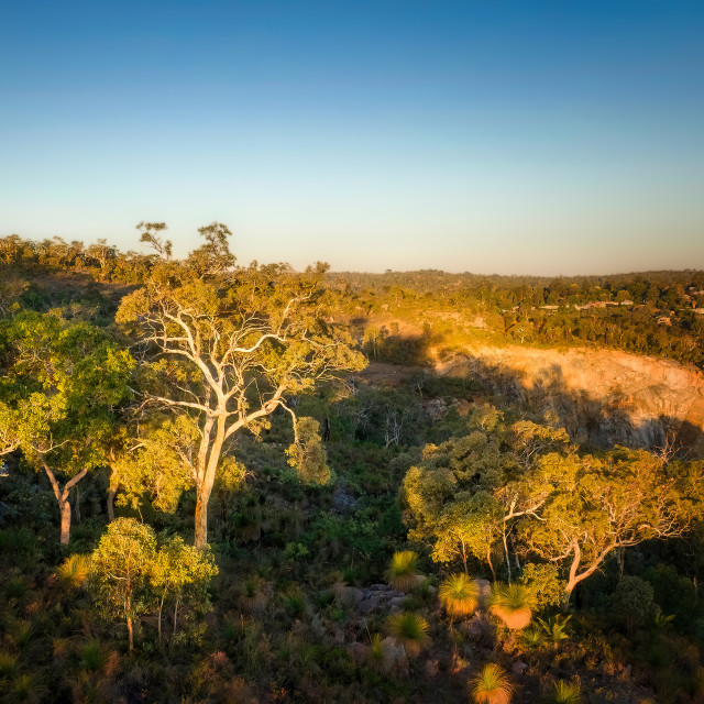 "Sunlit Bushland Hillside" stock image