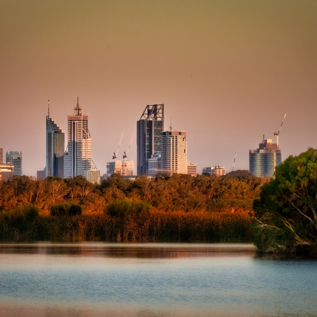 "Wetland and Cityscape" stock image