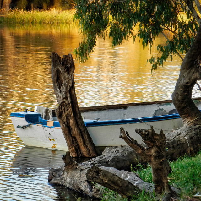 "Moored Rowboat, Swan River" stock image