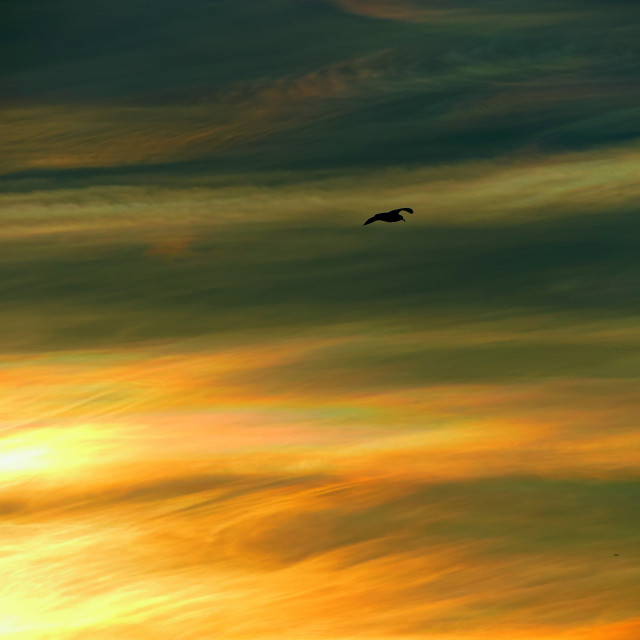 "The sky as a canvas" by Amit Mendelsohn - £50.00 "The sky as a canvas" stock image