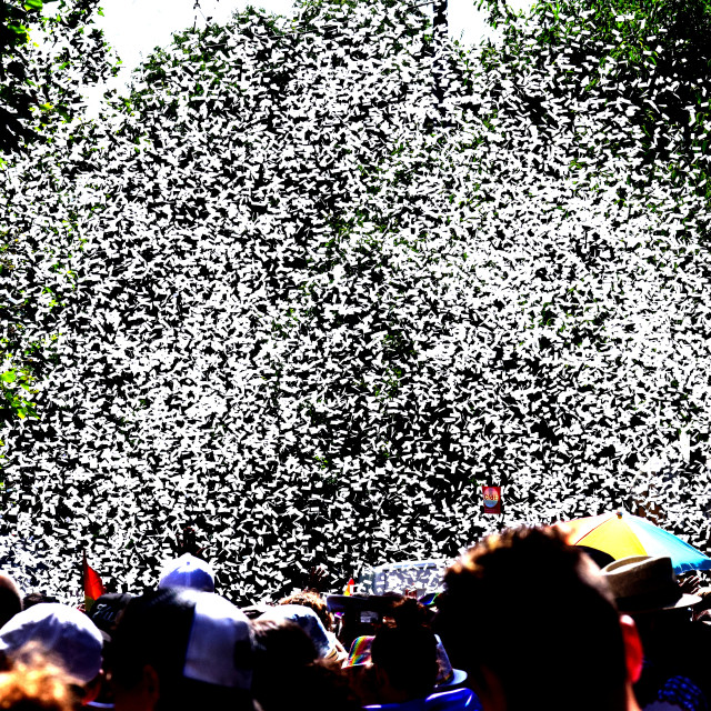 "A rain of confetti" stock image