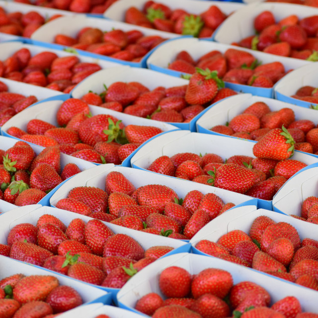 "Strawberries" stock image