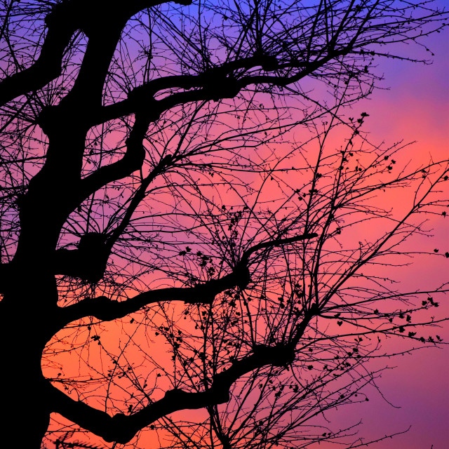 "Sunset in red and blue" stock image