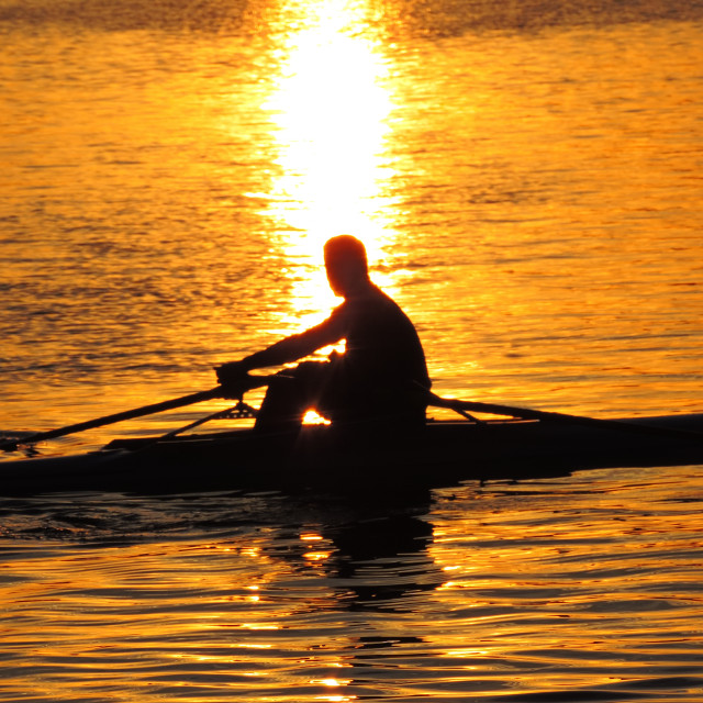 "A man rowing in the sunset" stock image