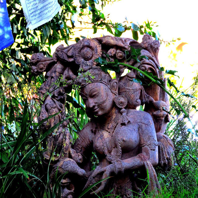 "A statue in a garden" by Amit Mendelsohn - £50.00 "A statue in a garden" stock image