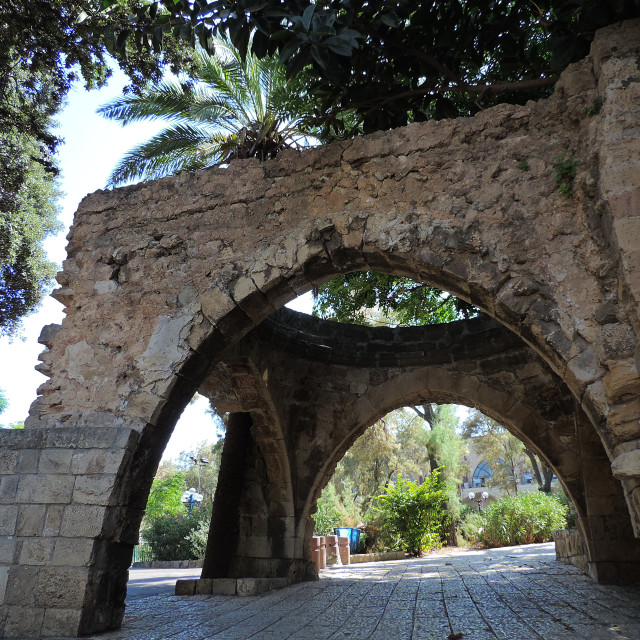 "Jaffa" by Amit Mendelsohn - £50.00 "Jaffa" stock image