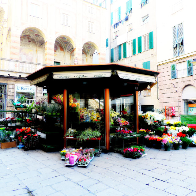 "Flowers vendor" by Amit Mendelsohn - £50.00 "Flowers vendor" stock image