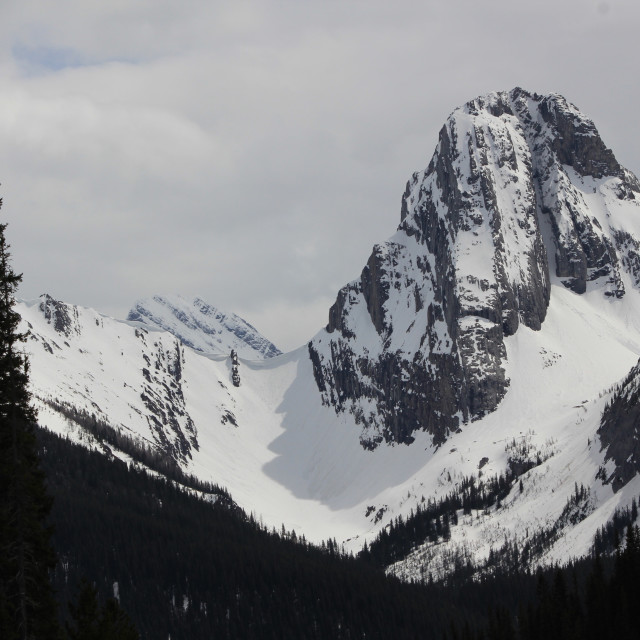 "Late Season Snow" stock image