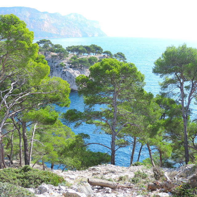 "The creek of Cassis 3" stock image