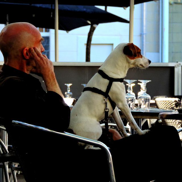 "Waiting together" stock image