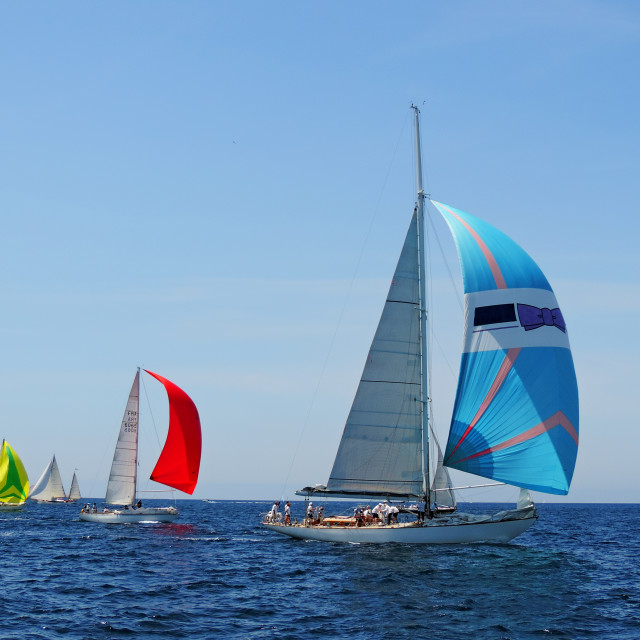 "Sail boat in a competition" by Amit Mendelsohn - £50.00 "Sail boat in a competition" stock image