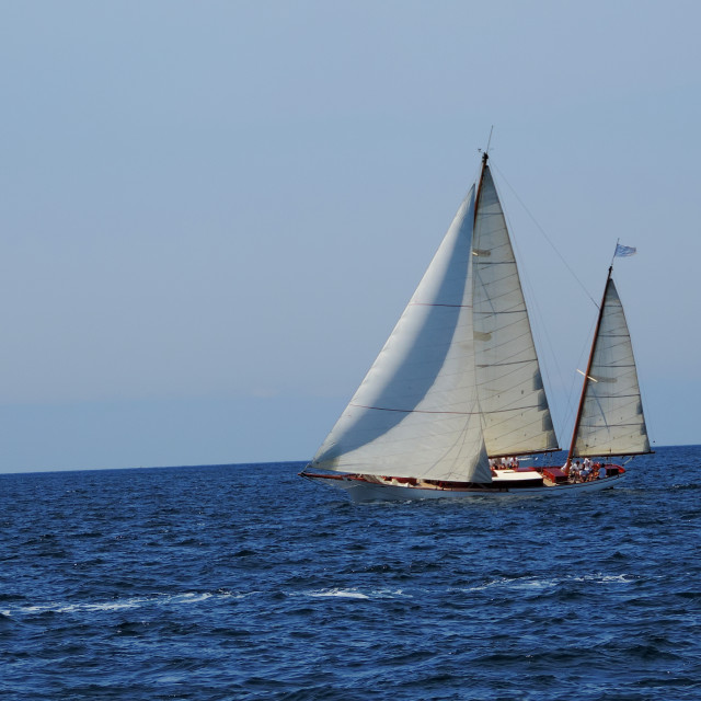 "Sail boat in a competition" stock image