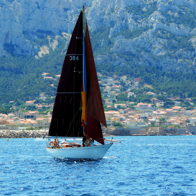 "Sail boat in a competition" stock image