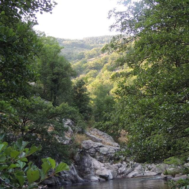 "River in Ardèche" by Amit Mendelsohn - £50.00 "River in Ardèche" stock image