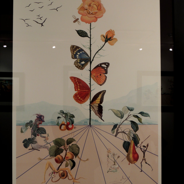 "Salvador dali - exhibition 23" by Amit Mendelsohn - £50.00 "Salvador dali - exhibition 23" stock image