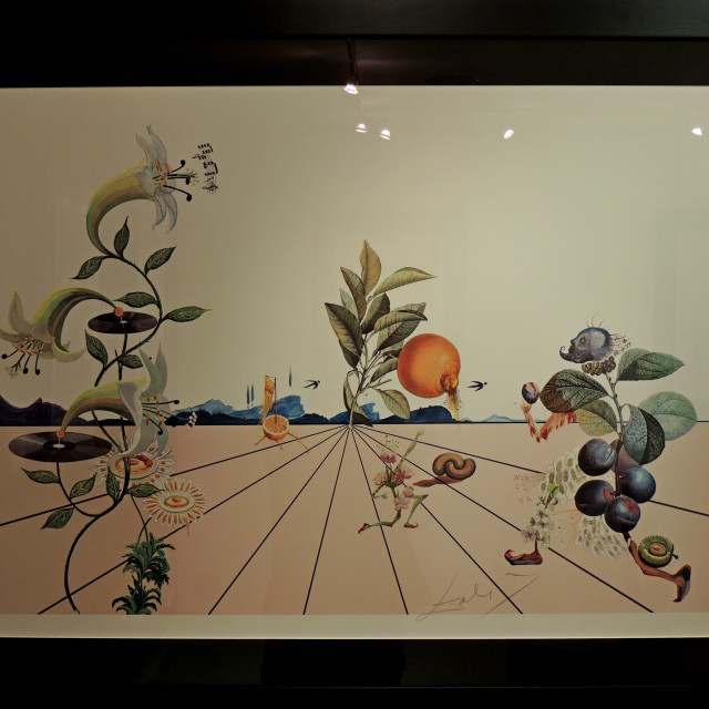 "Salvador dali - exhibition 25" by Amit Mendelsohn - £50.00 "Salvador dali - exhibition 25" stock image